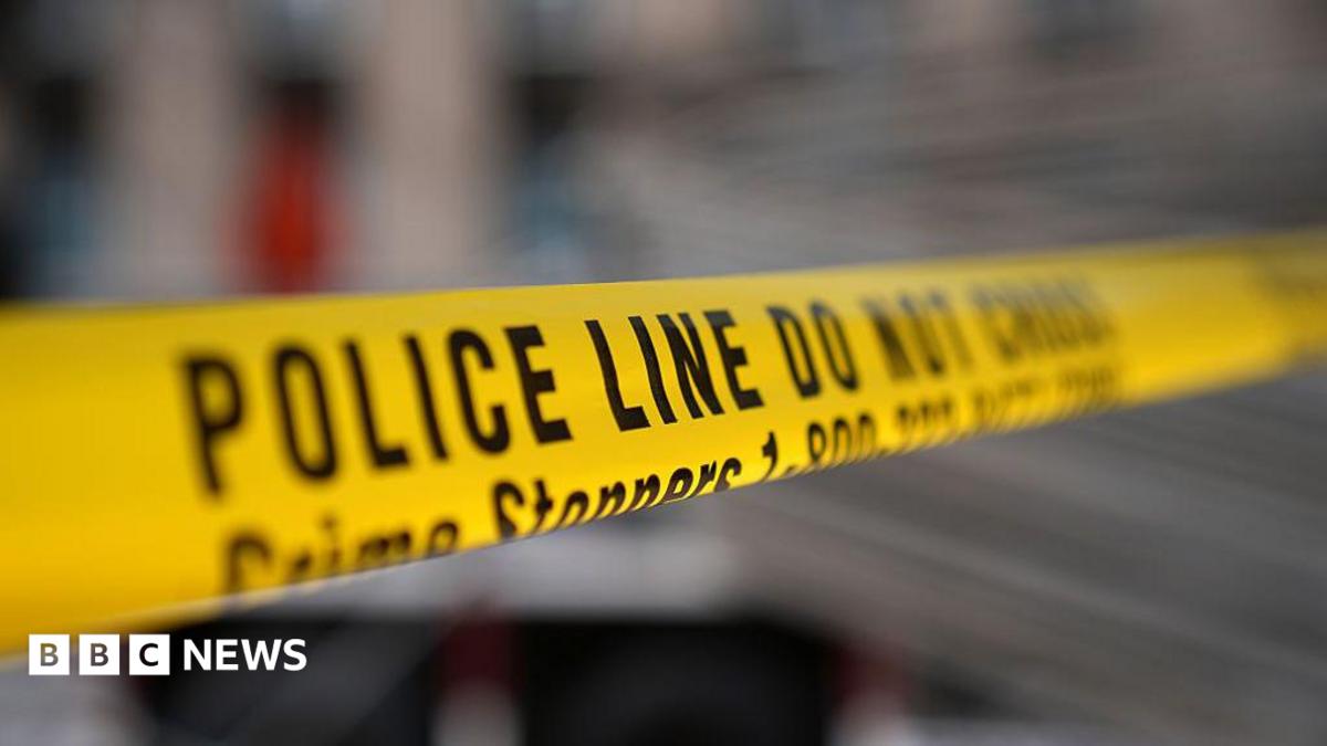 At least two killed in Toronto street festival shooting