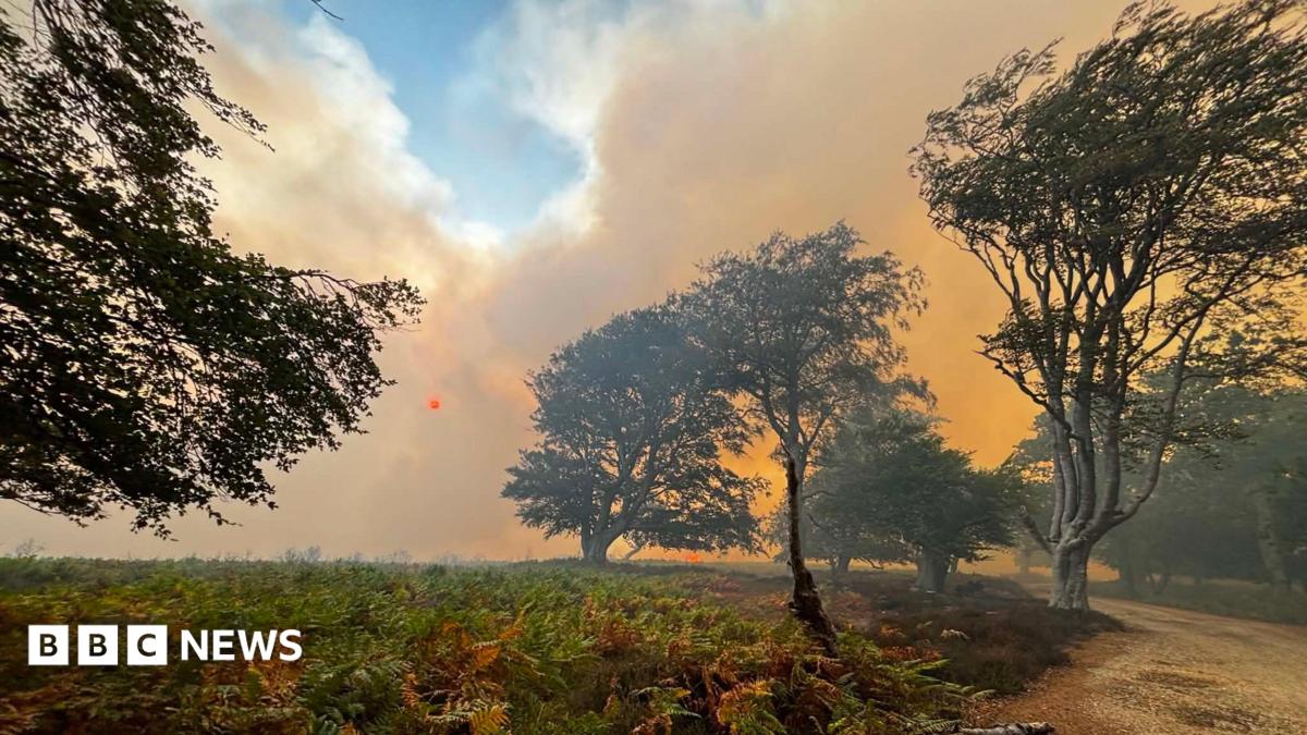 Crews tackle heathland fire that spread from van