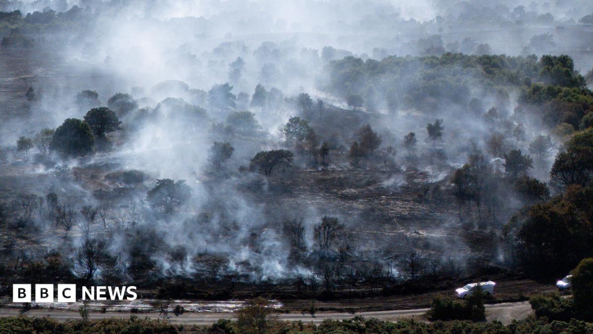 Suffolk heathland fire stood down as major incident