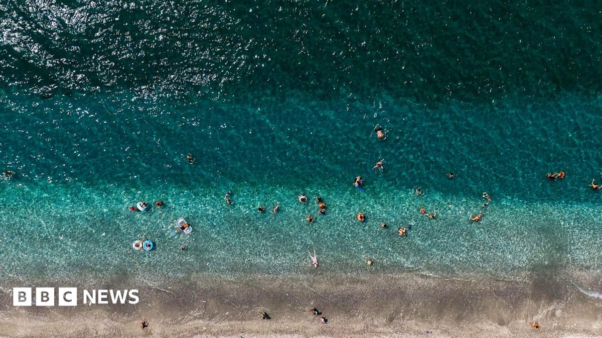 World's oceans hit record-high July temperatures