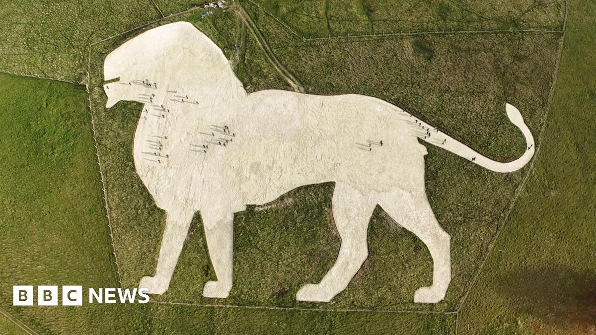 Whipsnade's chalk lion landmark restored by volunteers - BBC News
