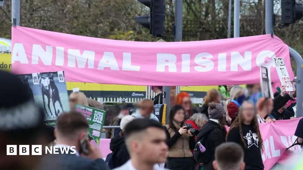 Grand National animal rights protest case dropped - BBC News