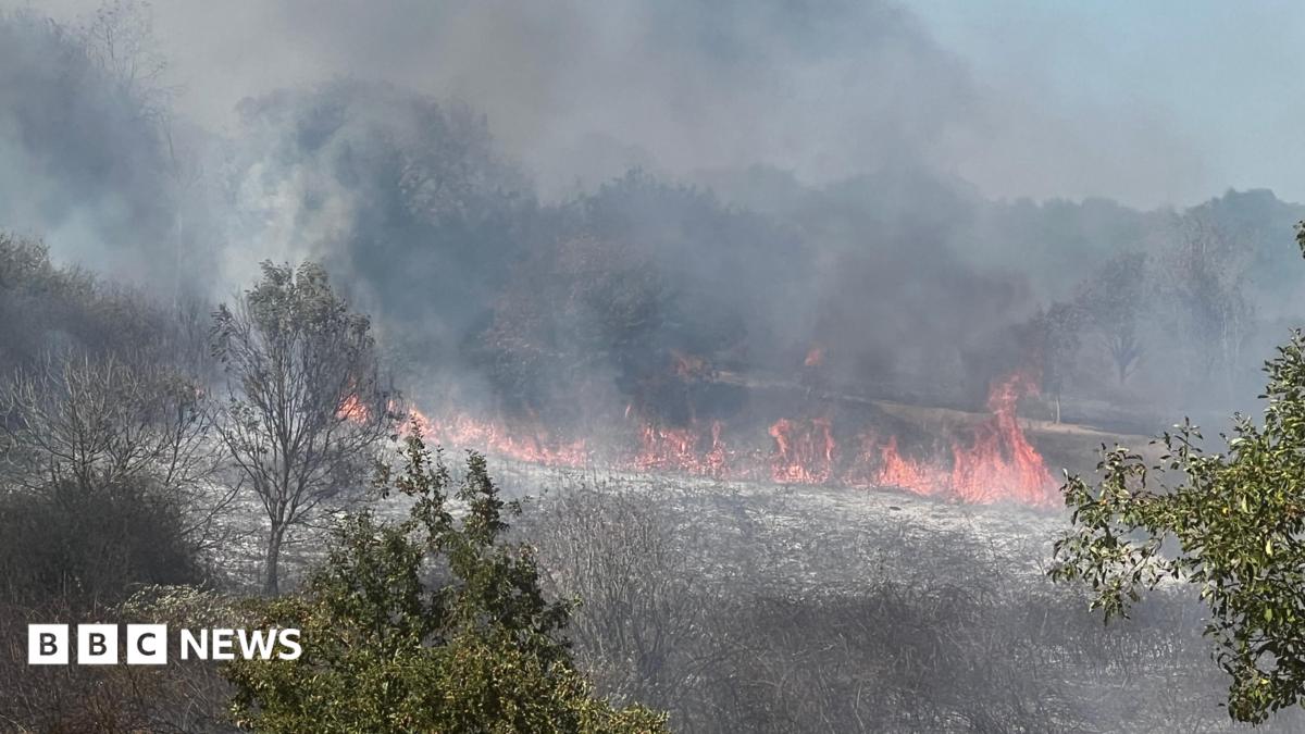 Black smoke and flames coming from grassland