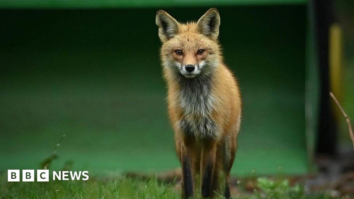 Deborah furgang nua that gorgeous girl managed to fit me in