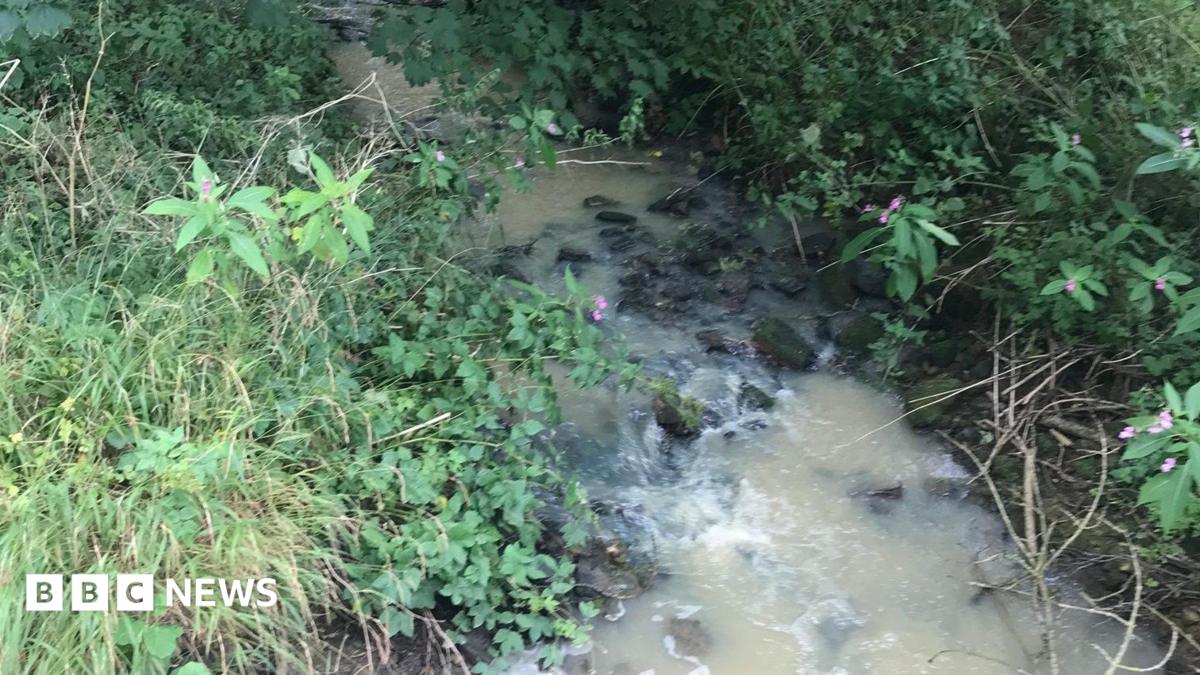 bbc.co.uk - Jack Hadaway-Weller - Four companies fined &pound;470,000 over pollution and non-compliance