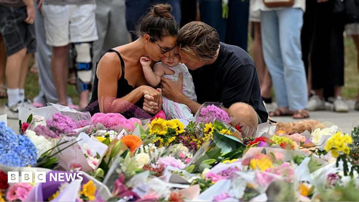 Australian state to launch gun buyback after Bondi Beach attack