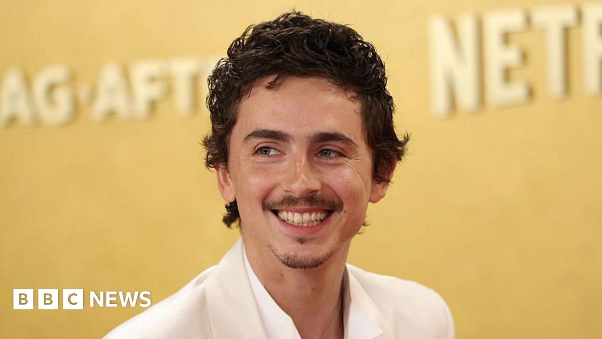 Timothée Chalamet: Artists react to Oscar hopeful’s ballet and opera remarks