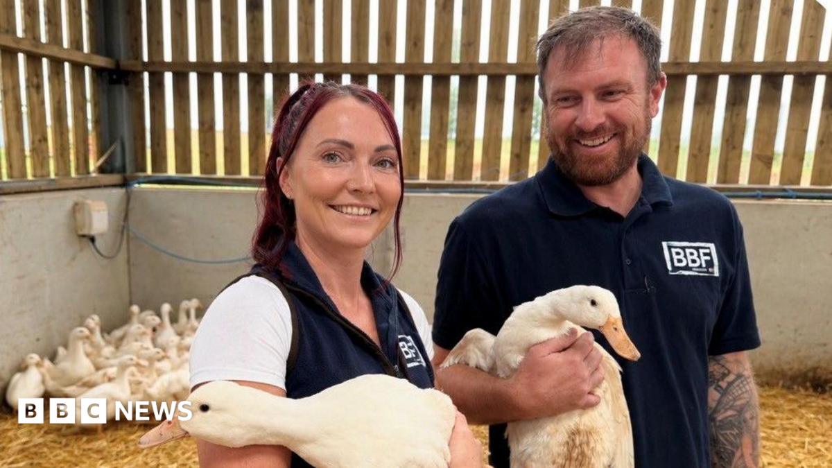 bbc.co.uk - Zhara Simpson - Cornish couple new to farming shortlisted for award