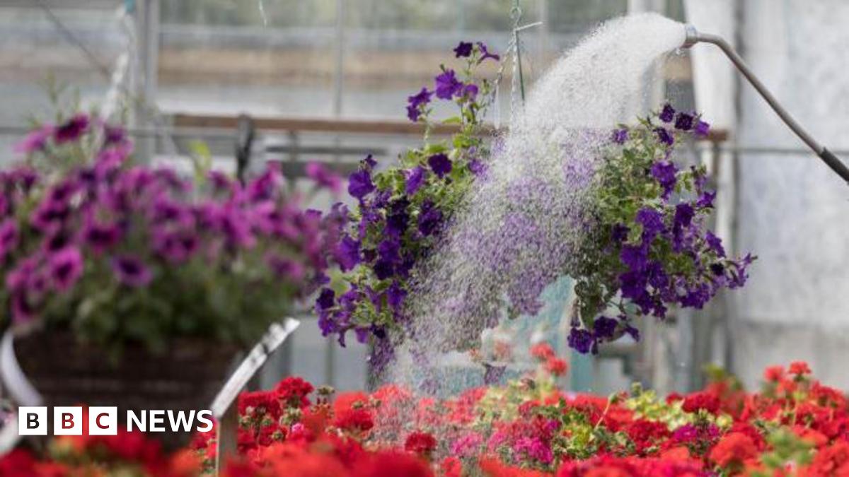 The garden centre helping mental health patients