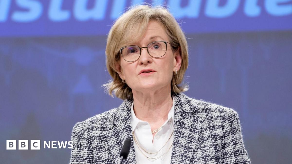 Mairead McGuinness Withdraws from Irish Presidential Race Citing Health Concerns - Who Will Challenge Higgins?