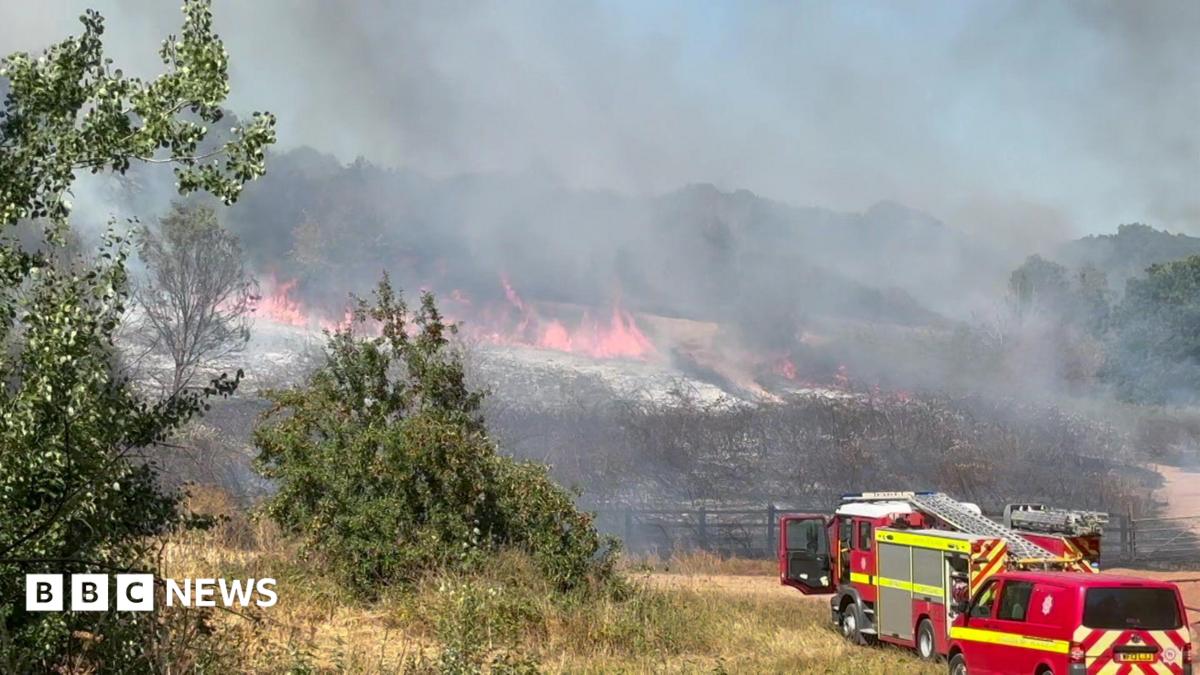 Firefighters Battle Large Grassland Blaze in Exeter’s Mincinglake Valley