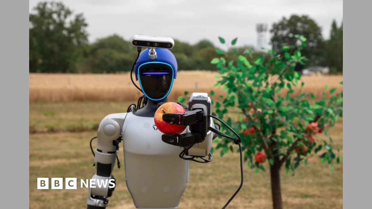 bbc.co.uk - Paul Shuttleworth - Humanoid robots are 'next stage' in farming