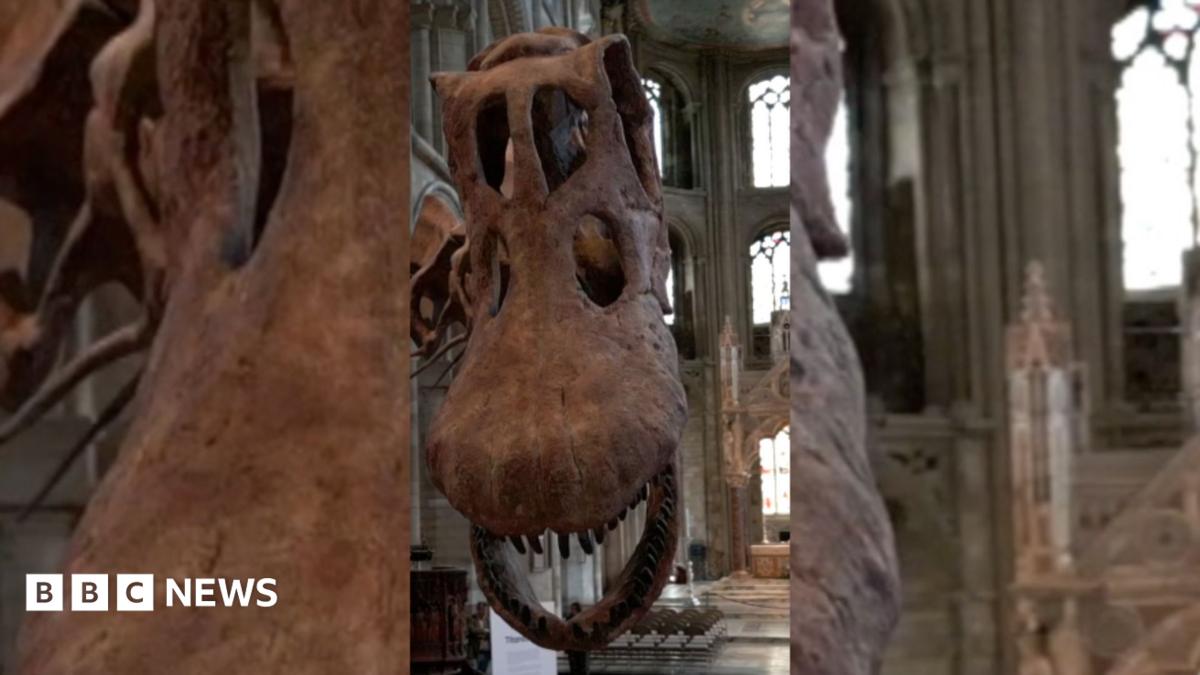 Fossil identified as first dinosaur ever found in Antarctica