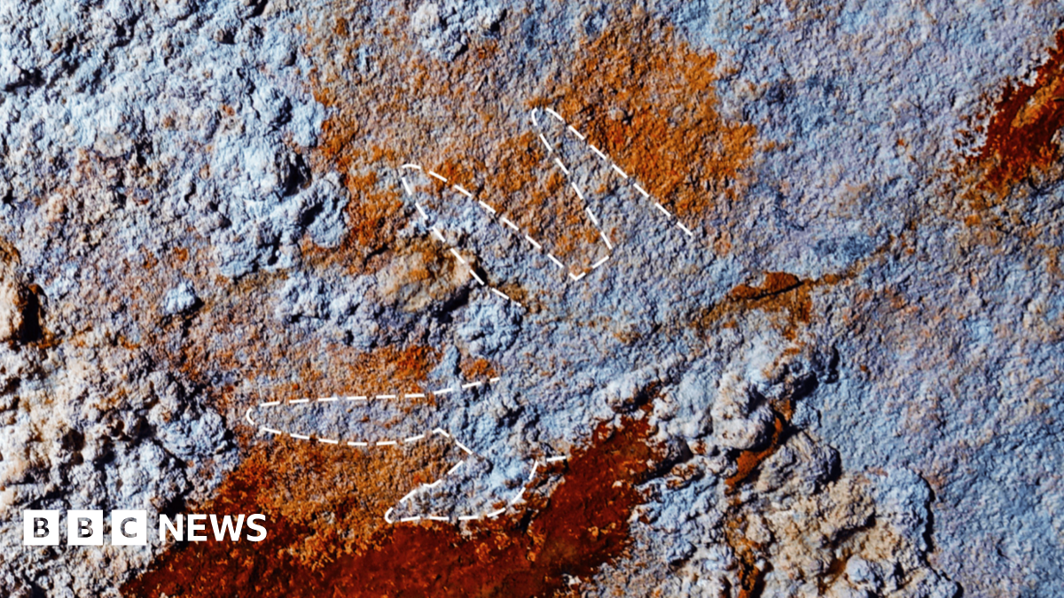 
                            Oldest cave painting could rewrite origins of human creativity