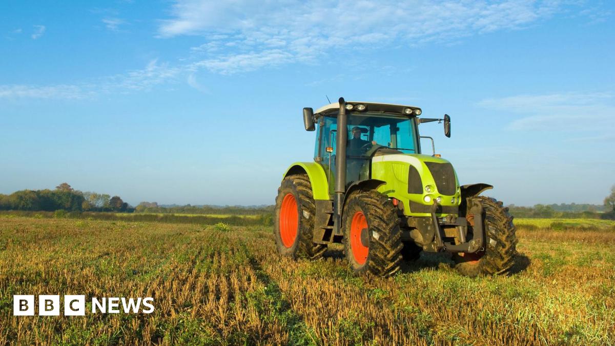 Campaigners call for ban on use of glyphosate at harvest time