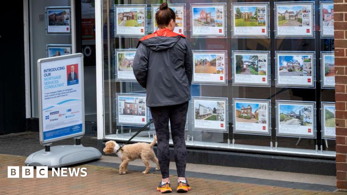 A woman walking her dog stands outside of an estate agent's window looking at prices