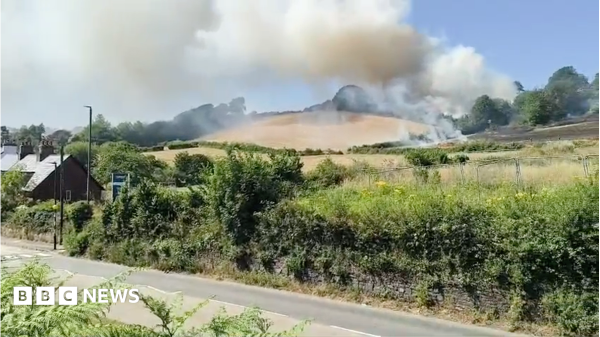 Devon firefighters battle four grassland fires in one day