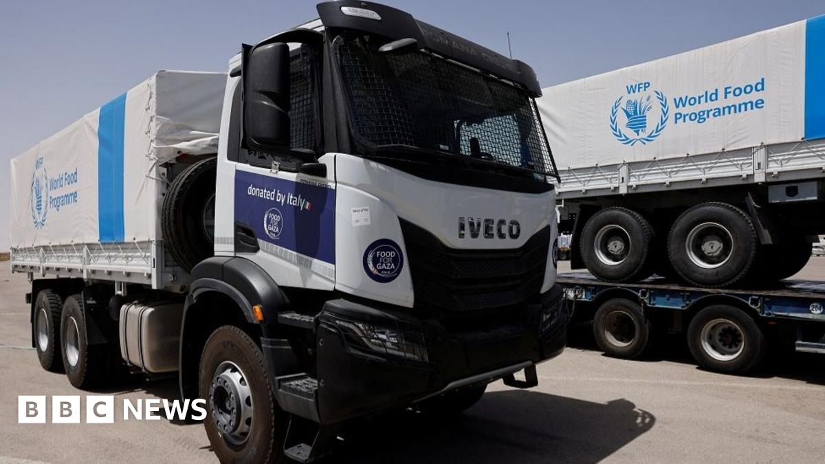 Gaza aid trucks rushed by desperate and hungry crowds, WFP says