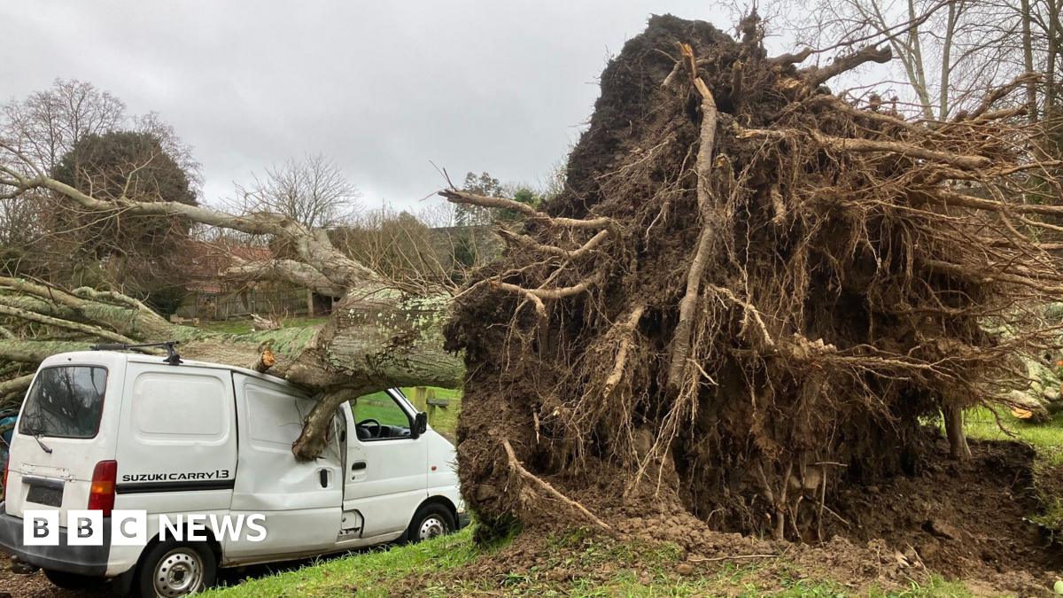 Storm Goretti clean-up in 'full swing' on Channel Island – BBC  www.bbc.co.uk