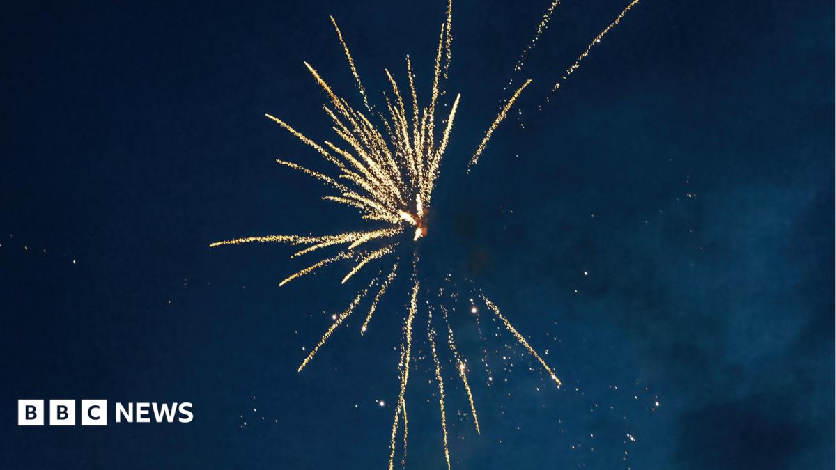 Cricketers banned over 'irresponsible' fireworks