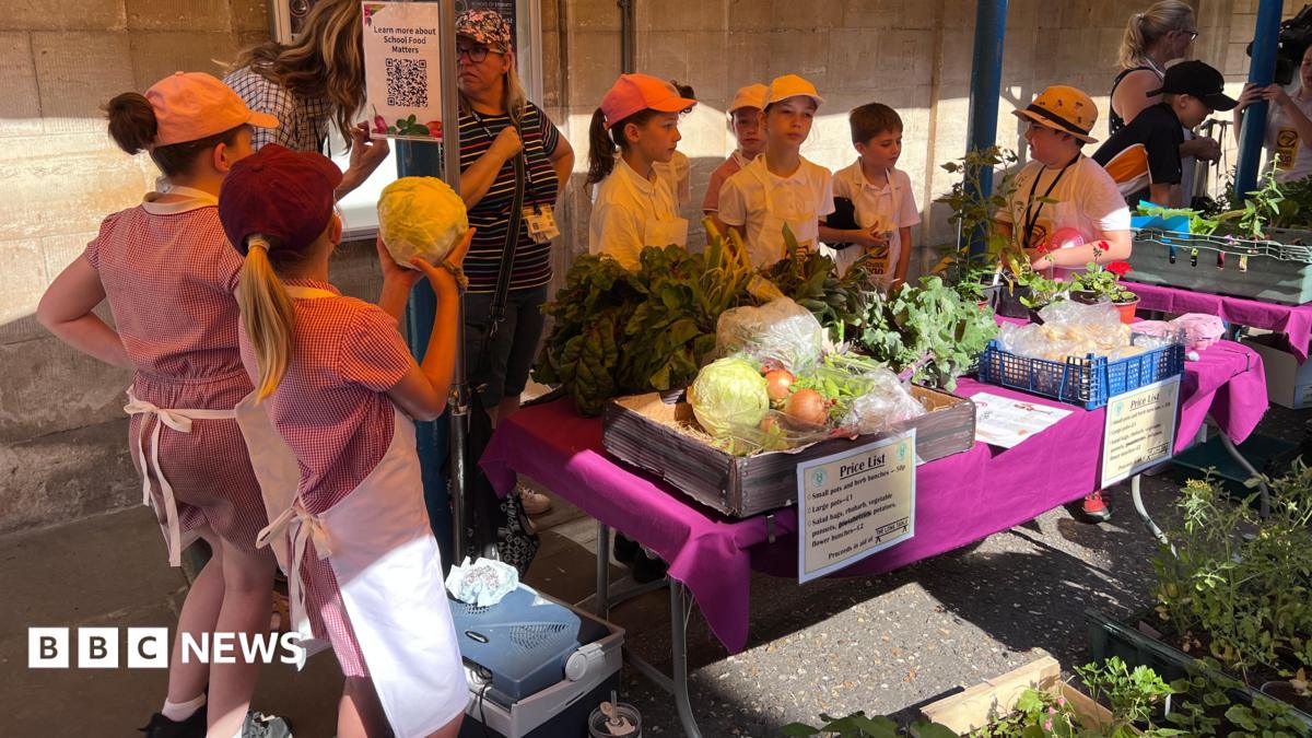 bbc.co.uk - Steve Knibbs - Stroud children grow and sell own food at local market