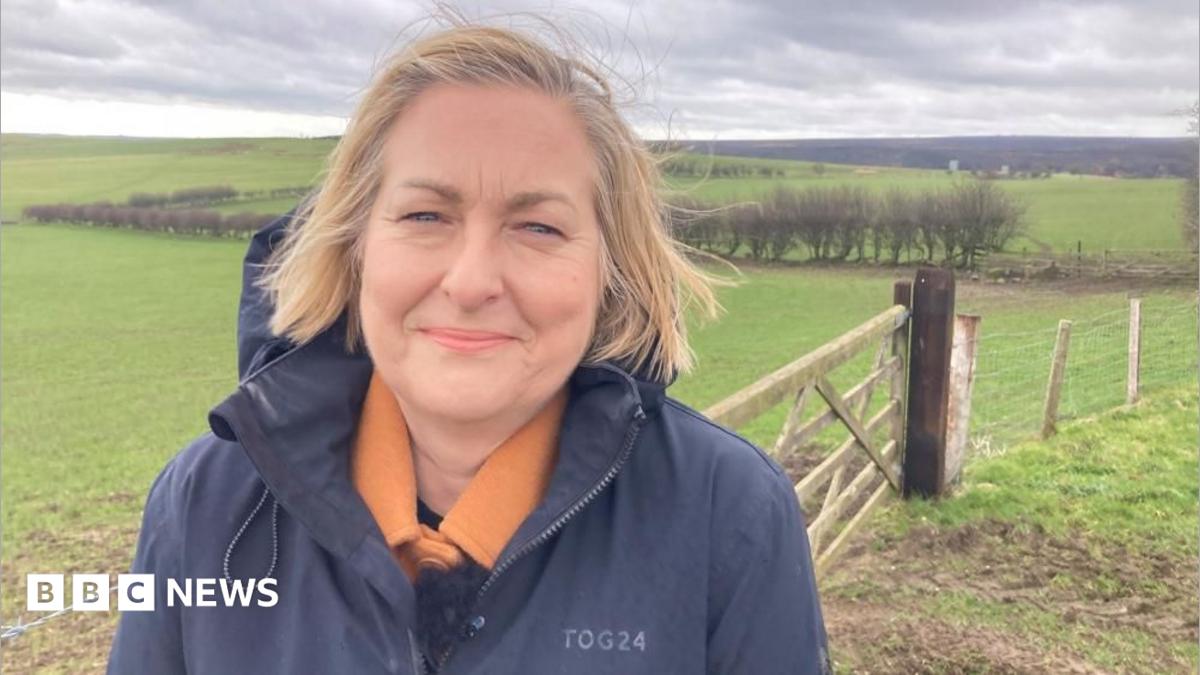 MP Claims Northern Wildfire Damage Was Neglected by Authorities