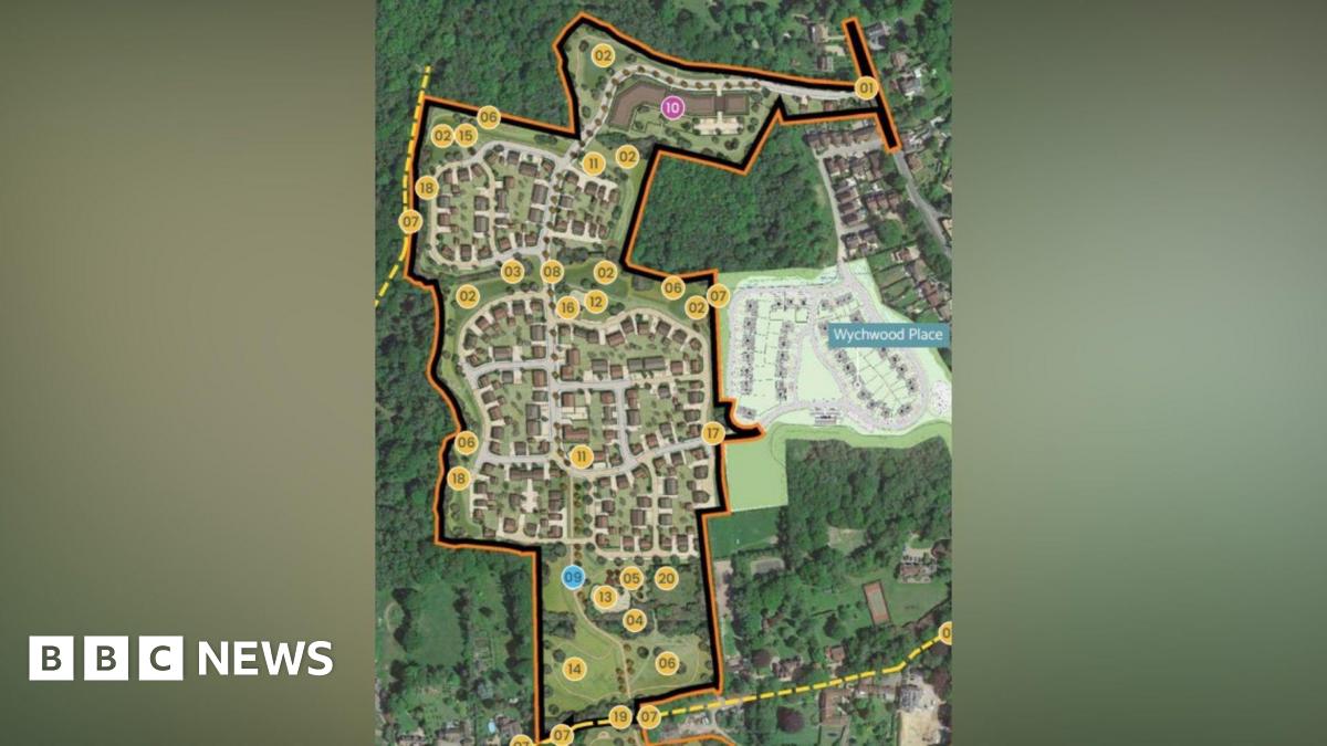bbc.co.uk - Karen Dunn - Council greenlights plans for 230 homes near Crawley
