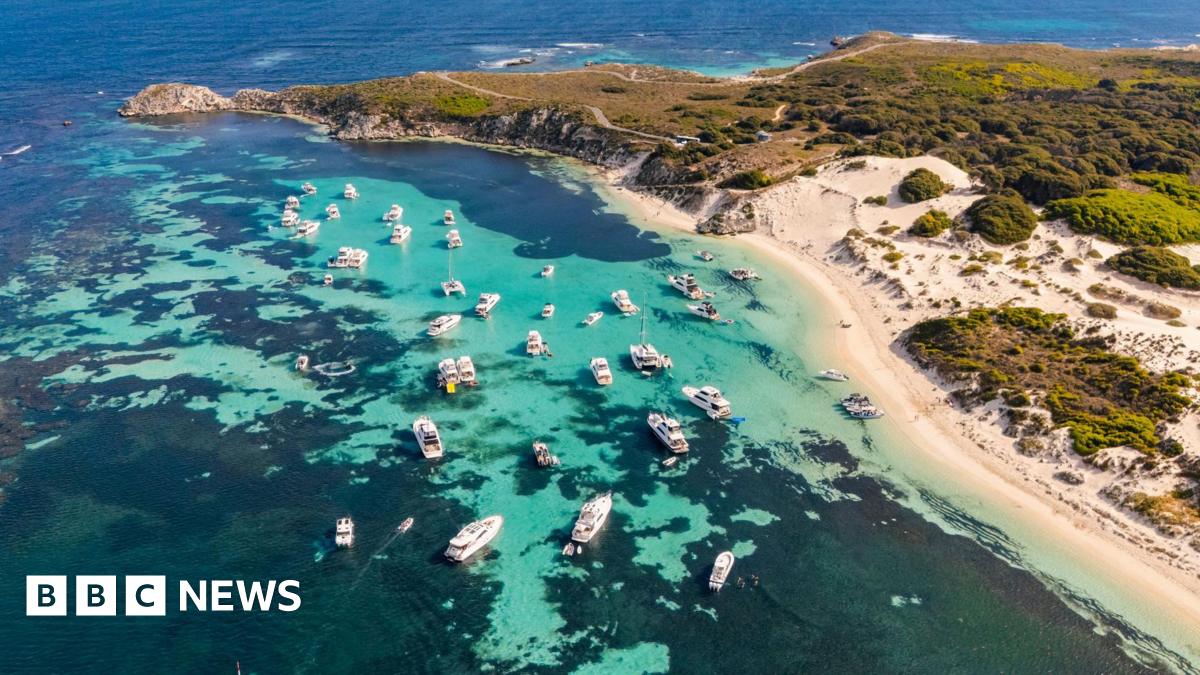 Rottnest Island shark attack: Australian victim identified as father-of-two  www.bbc.co.uk