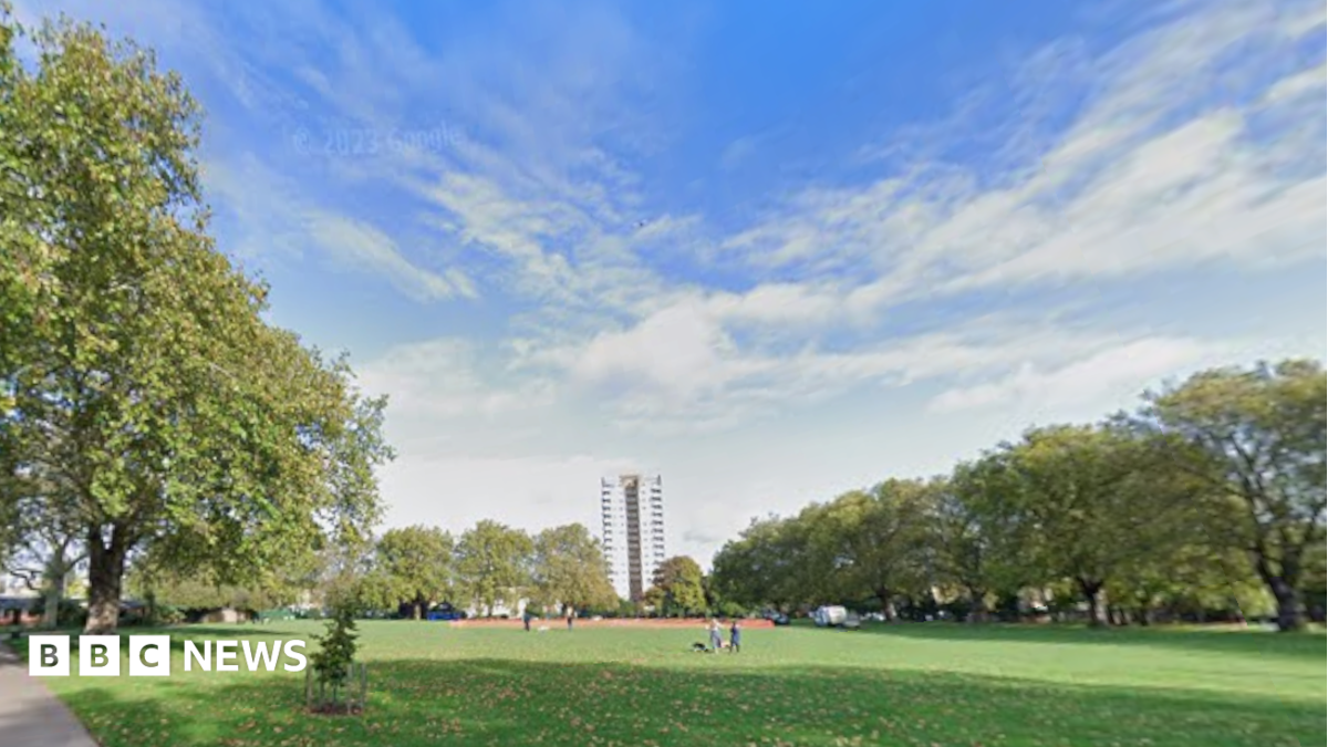 Man charged with arson after London Fields park fires