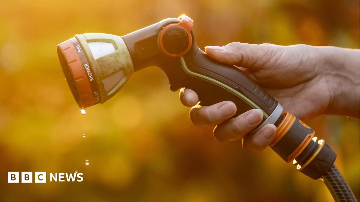 Wessex hosepipe ban possible without 'small changes'