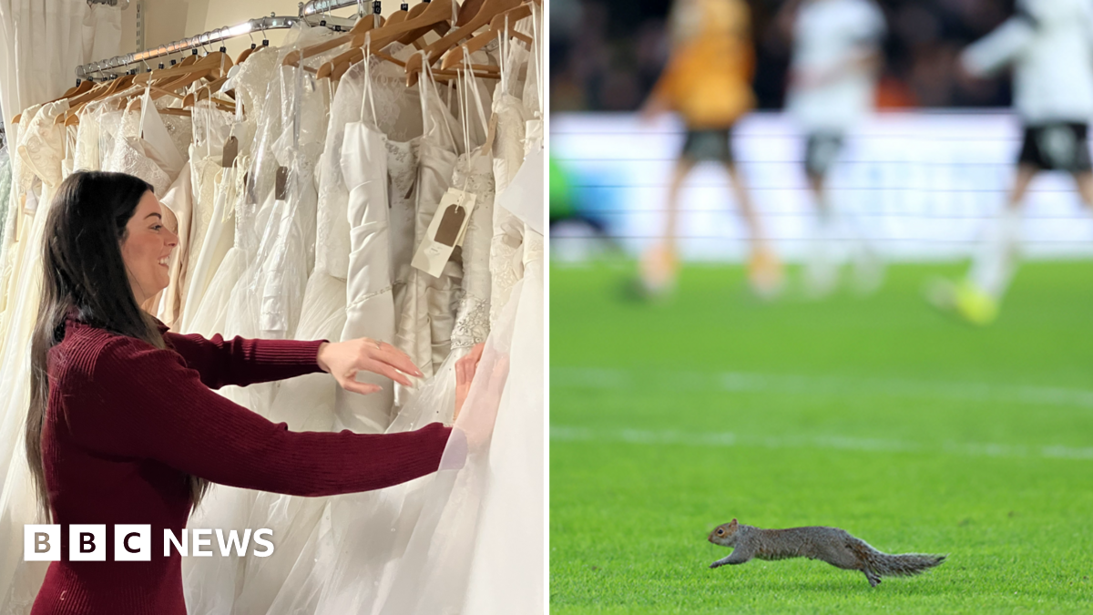 Heartwarming Tales from Yorkshire: Unforgettable Love Stories and Community Spirit