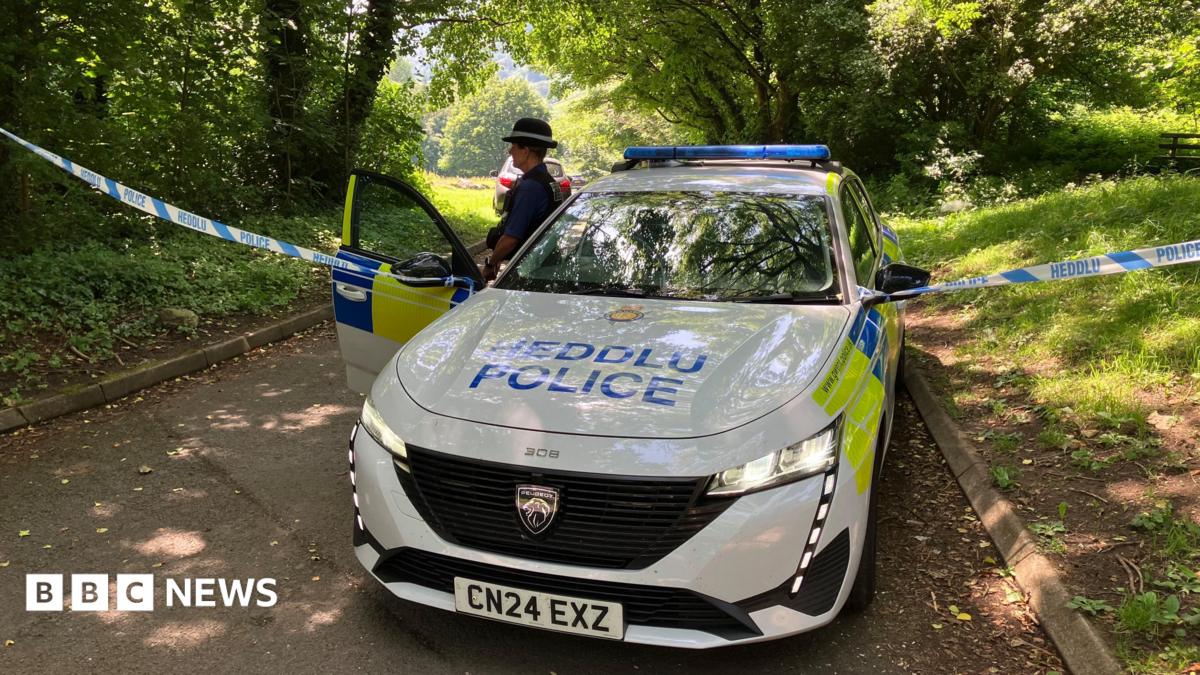 Boy, 14, charged with murder after body found in search for girl in south Wales