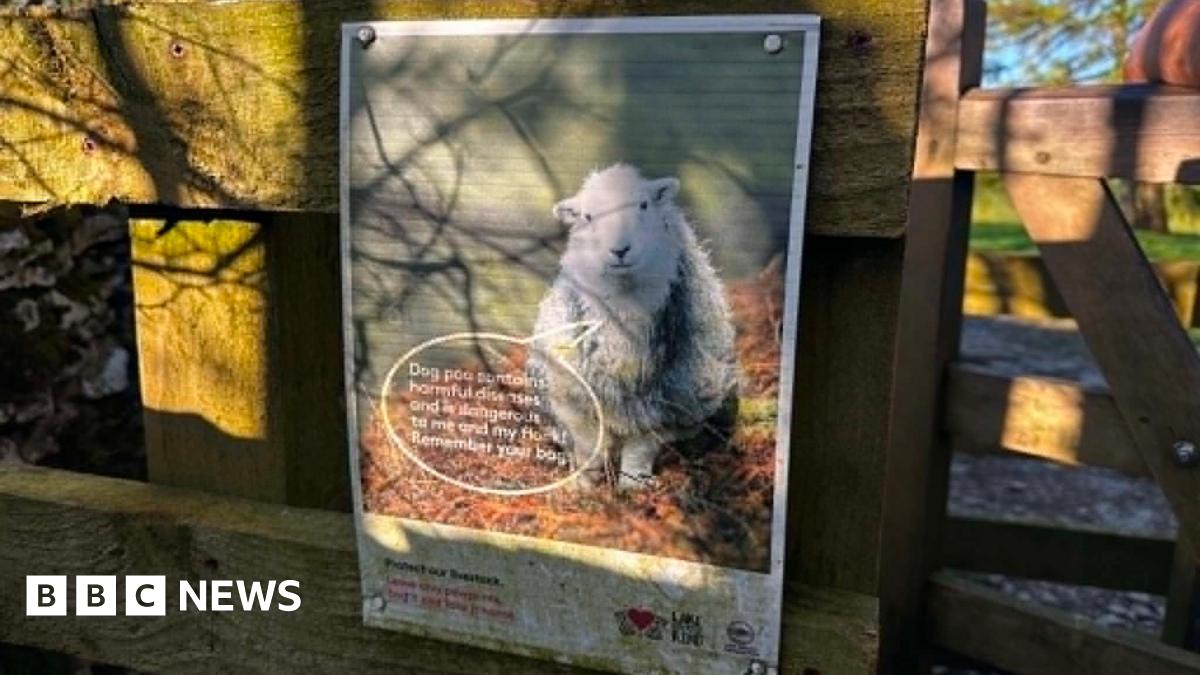 Darlington farmer warns of 'really nasty' parasites in dog poo left on fields
