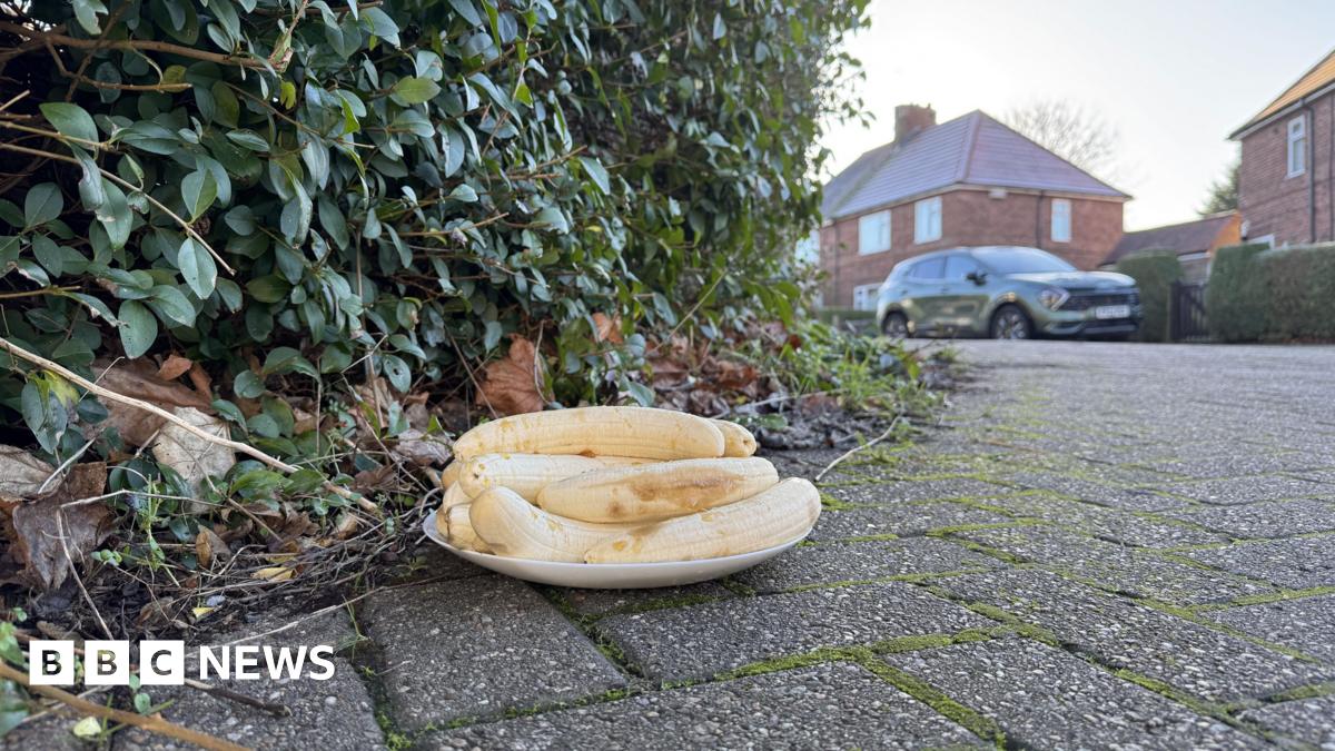 Beeston: ‘Why does a plate of bananas keep appearing on our street?’