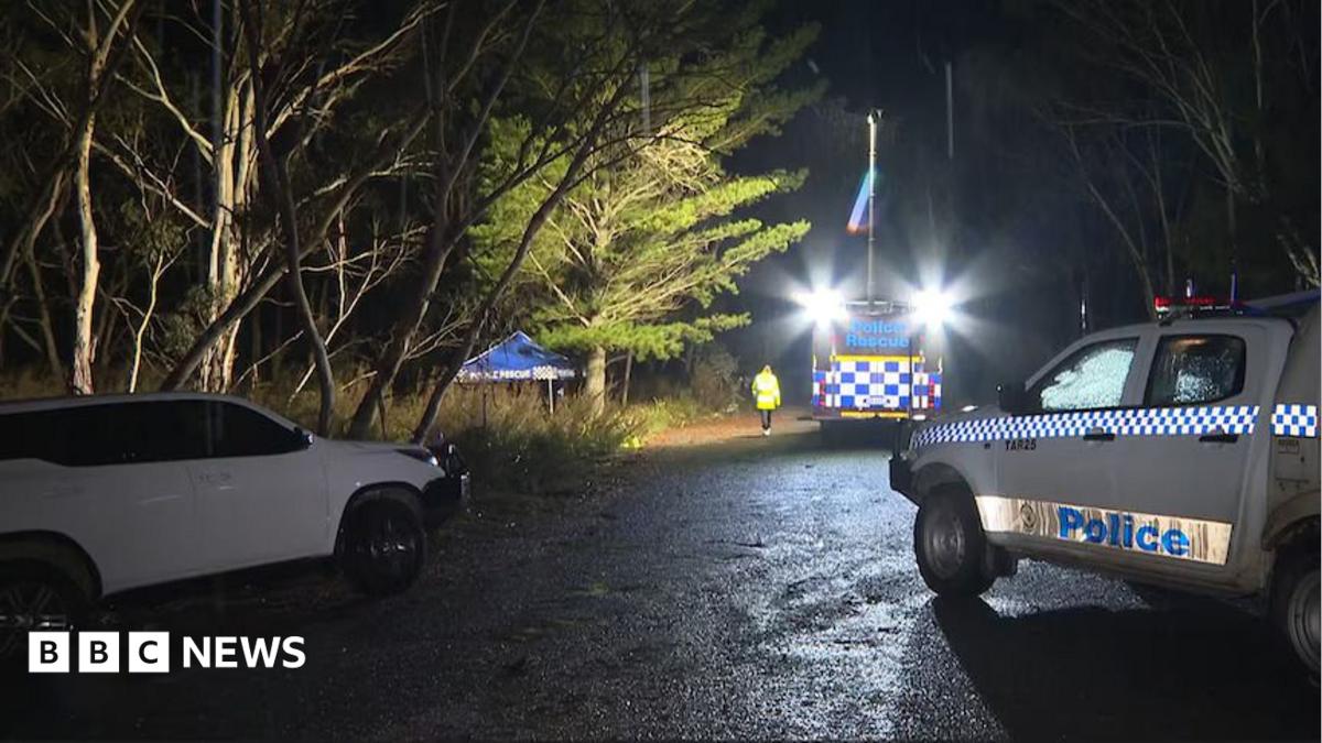 Lifelike doll with 'bruises and grazes' sparks mistaken Australian murder inquiry