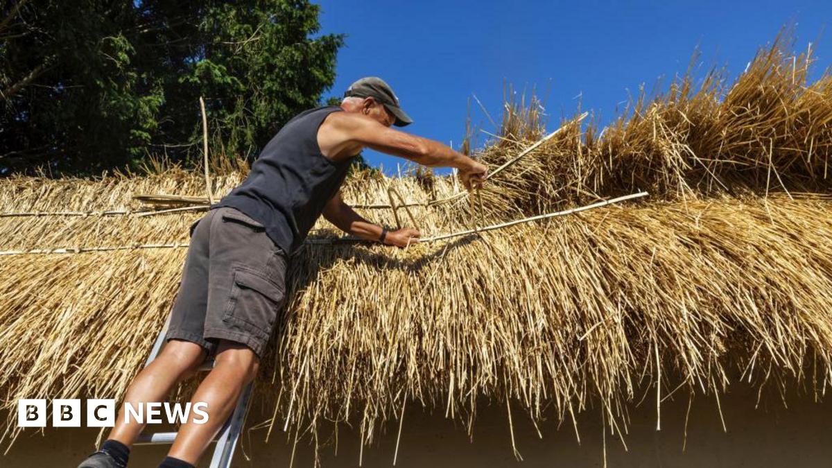 Thatchers and farmers working to tackle straw supply issues