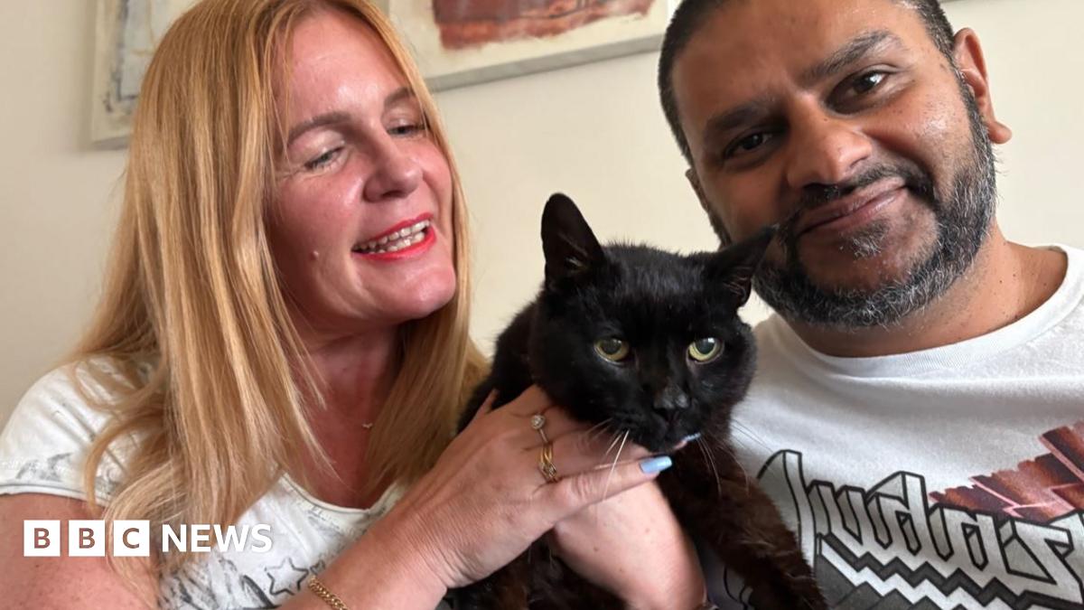 Awol cat found years later, living off Telford McDonald's scraps