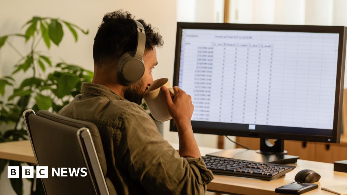 bbc.co.uk - Joe Fay - Excel: Workers cling to the software despite shift to AI
