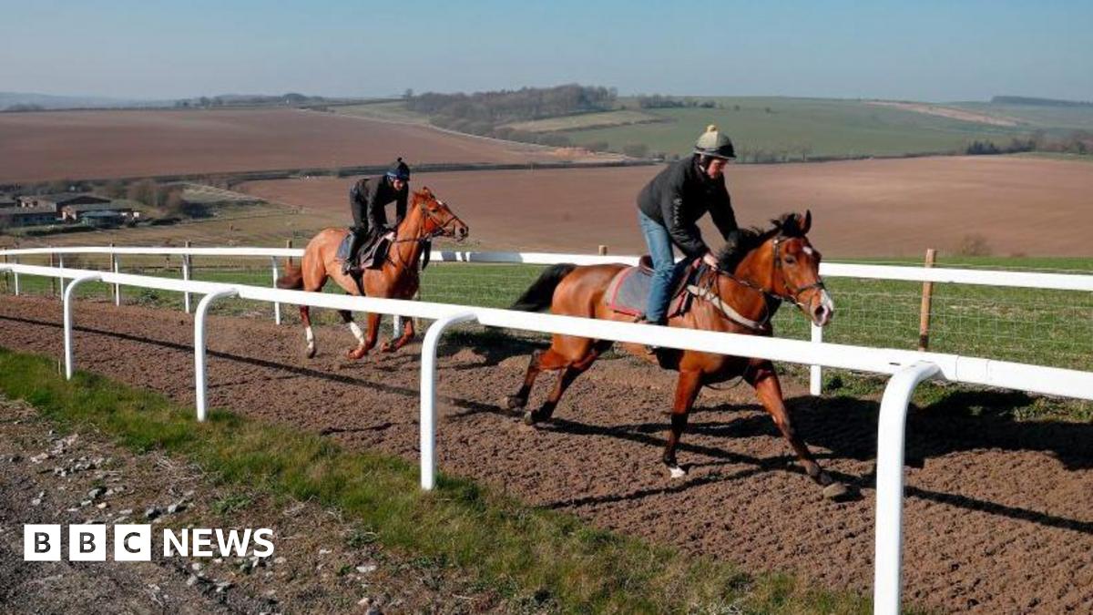 Asphalt Plant Proposal Rejected in Berkshire Amid Horse Racing Concerns