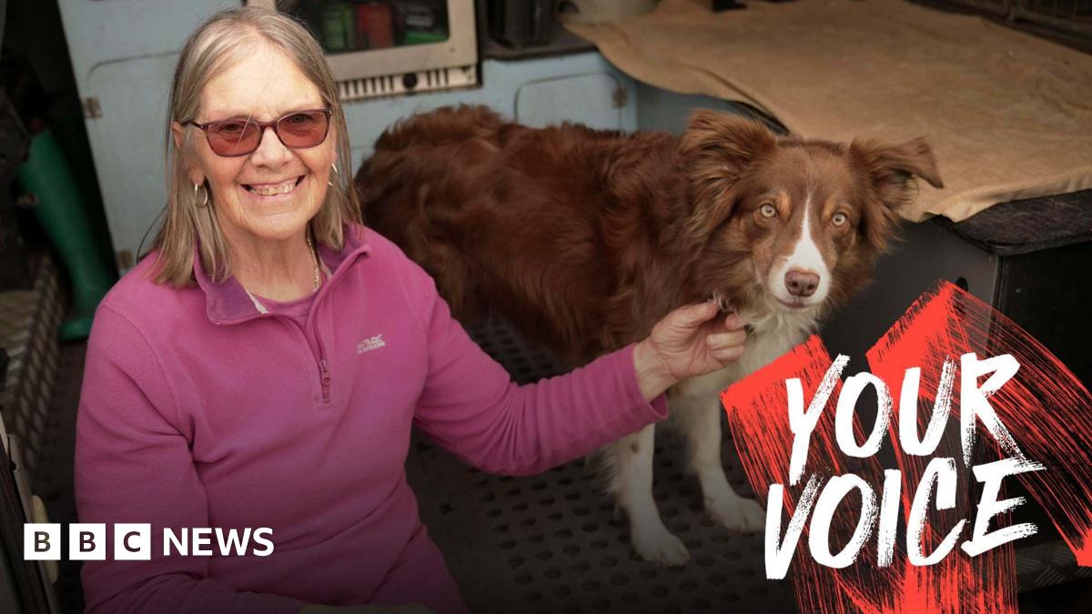 bbc.co.uk - Jim Connolly & Esyllt Carr - I was left with an &pound;8,000 vet bill when my insurer cancelled my pet policy