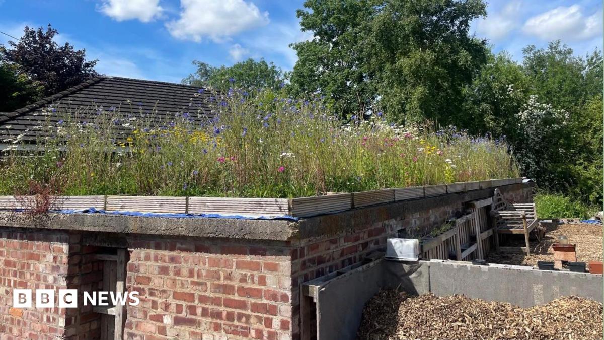 Trafford WW2 bunker transformed to help wildlife | Manchester News Trafford WW2 bunker transformed to help wildlife | Manchester News