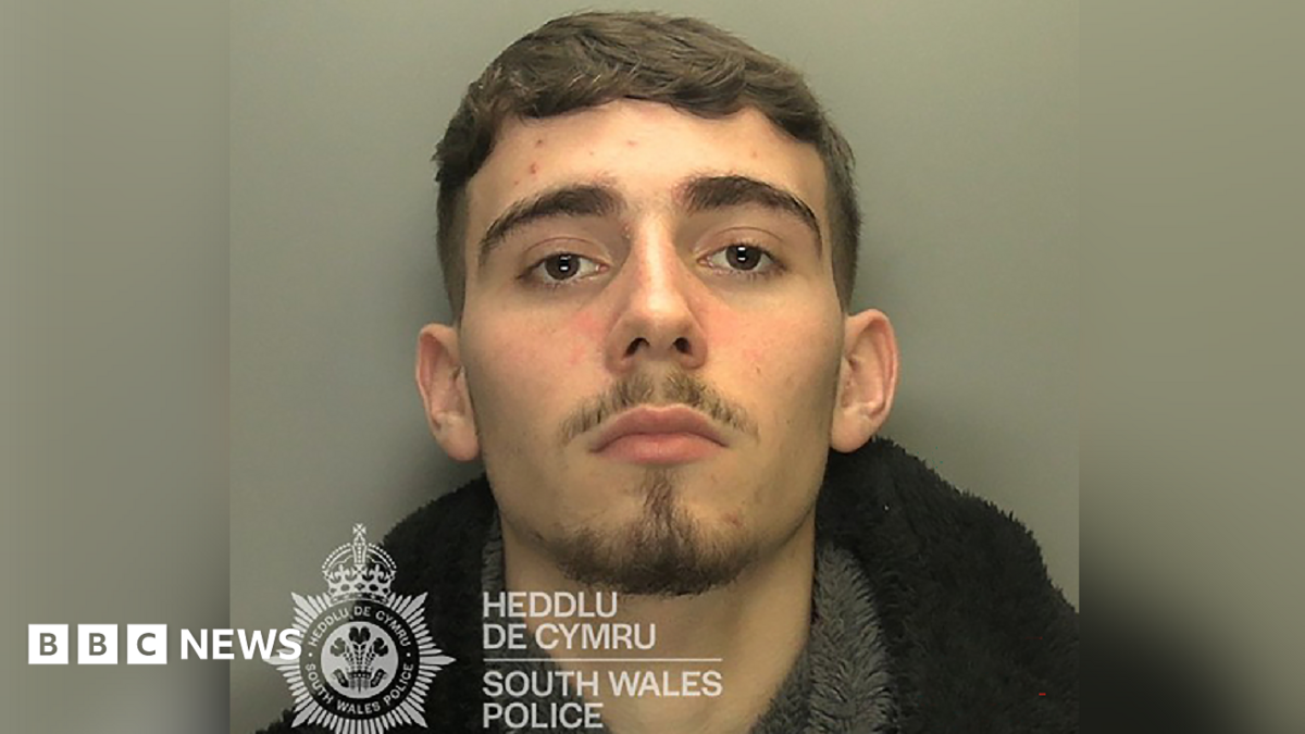 Teen high on laughing gas jailed after using car as a weapon to kill mum-of-three