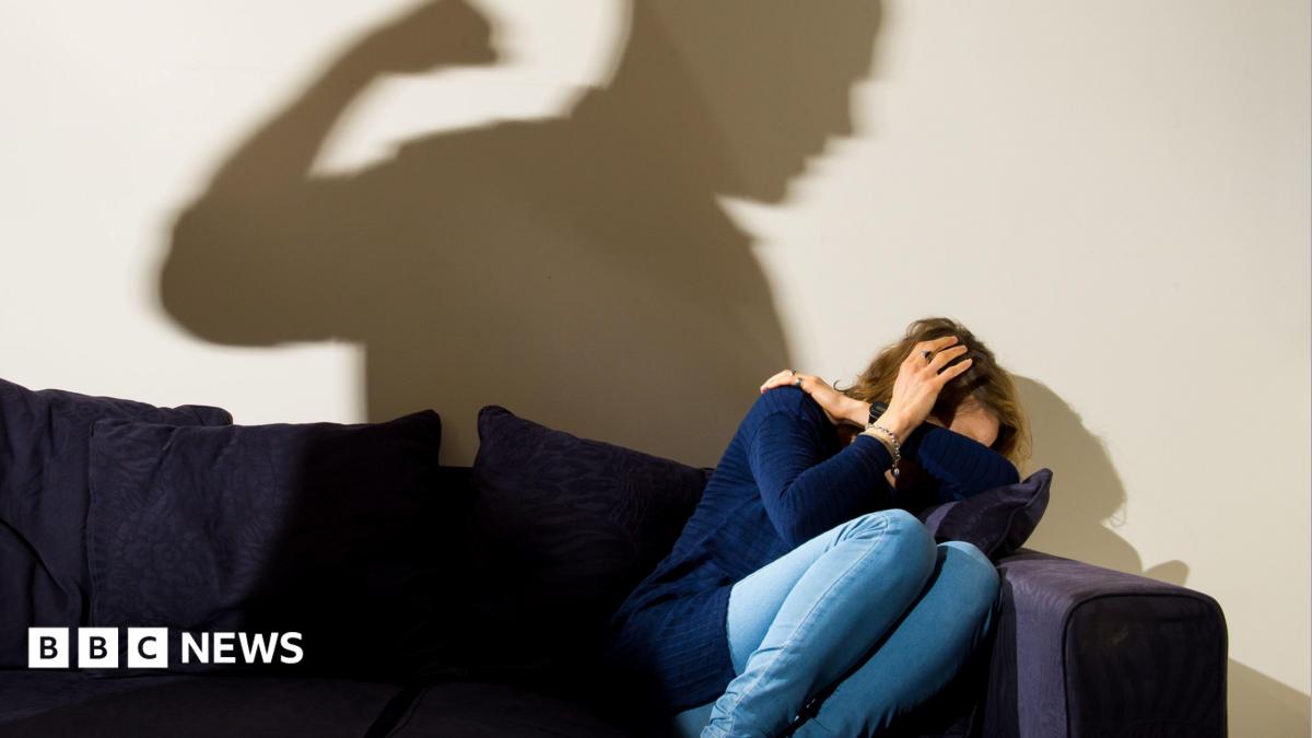 West Mercia's World Cup domestic abuse cases 'up by a fifth'