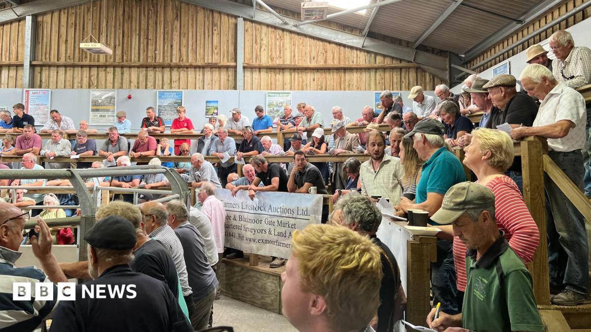 bbc.co.uk - Ross Pollard - Exmoor market health hub helping farmers discover hidden conditions