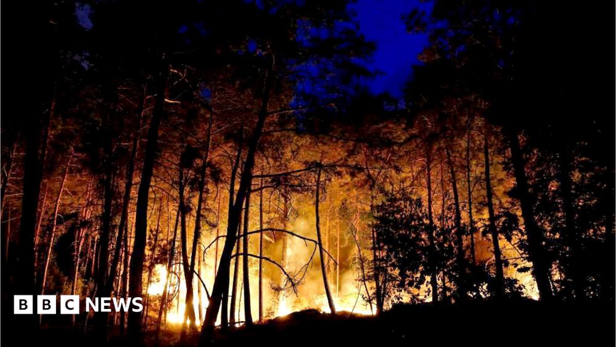 Planes sent to tackle wildfires of 'exceptional scale' near Paris