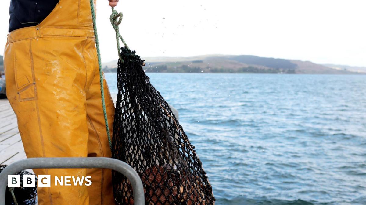 Scottish fishermen warn industry is at risk of being ‘crushed’