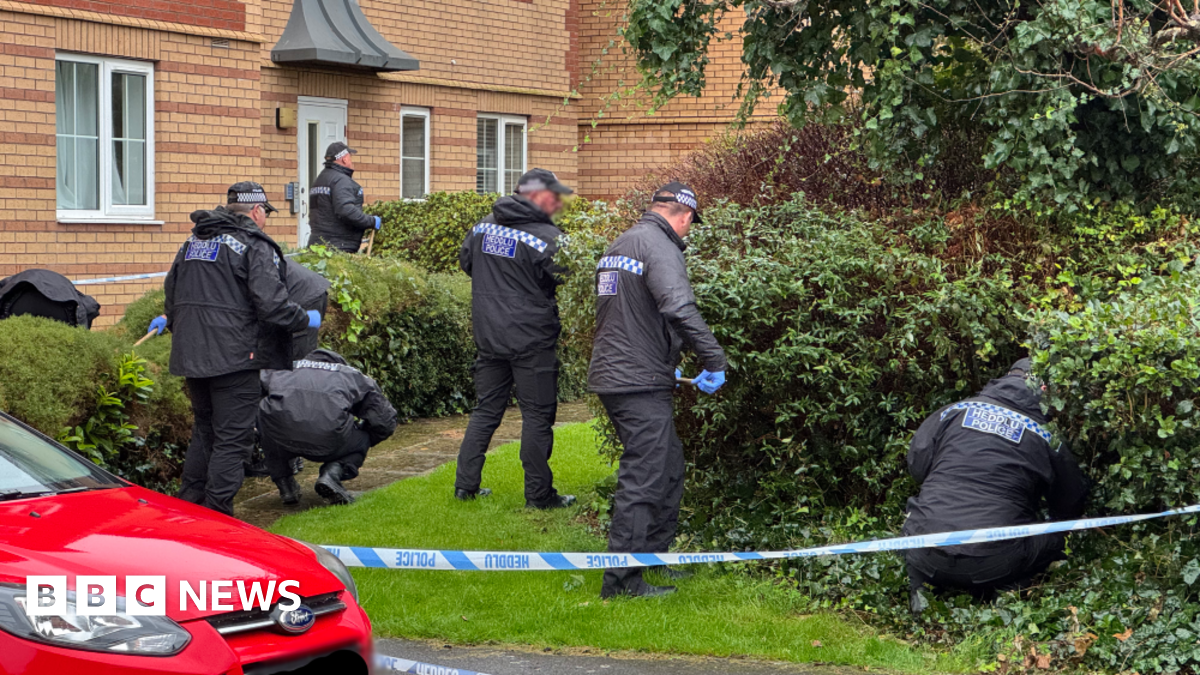 Grangetown stabbing: Man in hospital after incident involving 'several ...