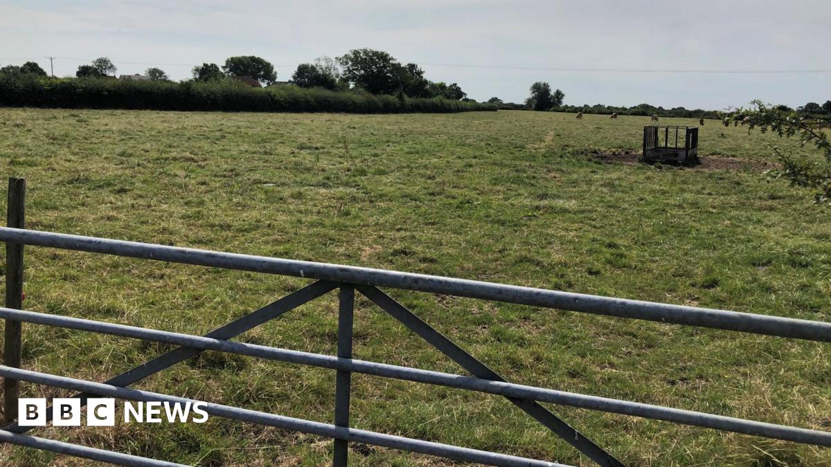 bbc.co.uk - Doncaster solar farm given go-ahead despite objections