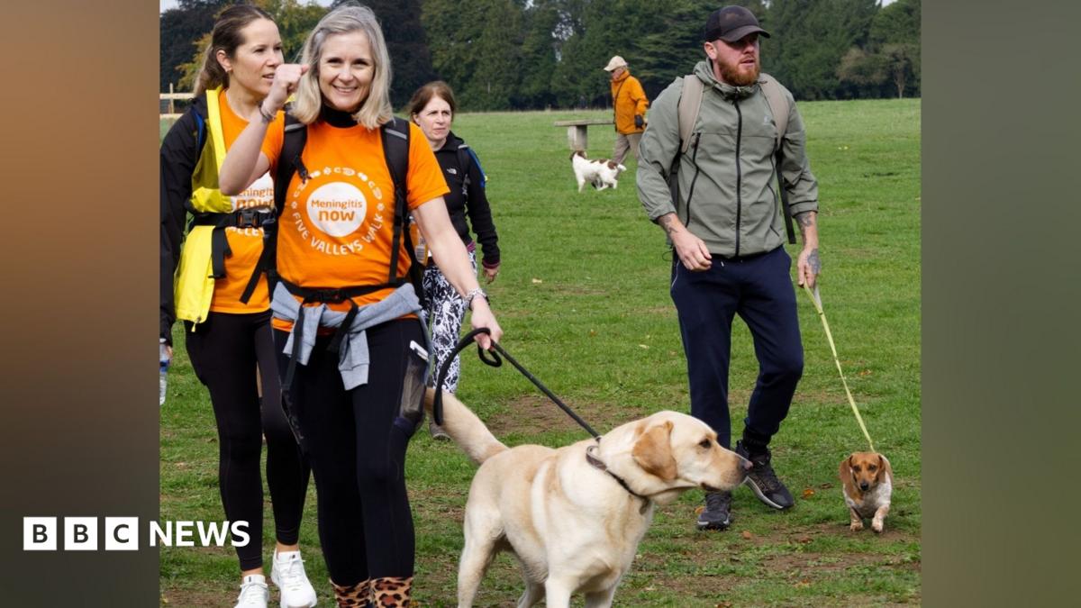 Stroud's Five Valleys Walk organisers announce accessible route