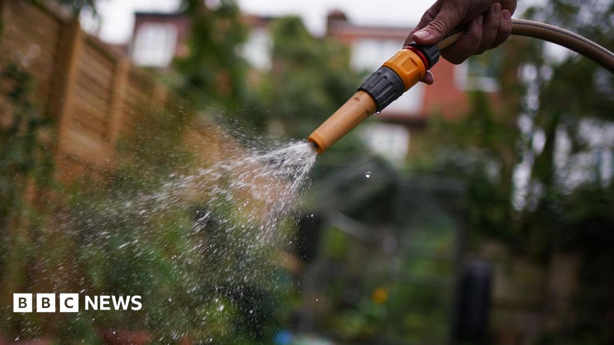 Who is exempt from hosepipe bans in the South?